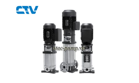 Đại lý cung cấp máy bơm trục đứng Italy chính hãng tại Hà Nội