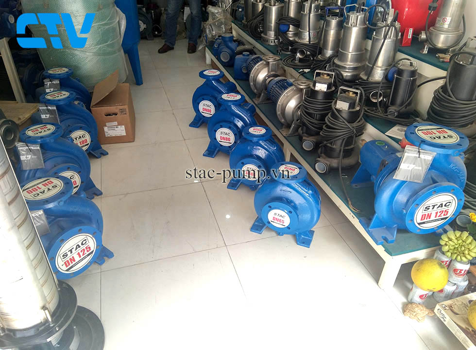 Máy bơm nước Stac-Italy chính hãng, giá tốt