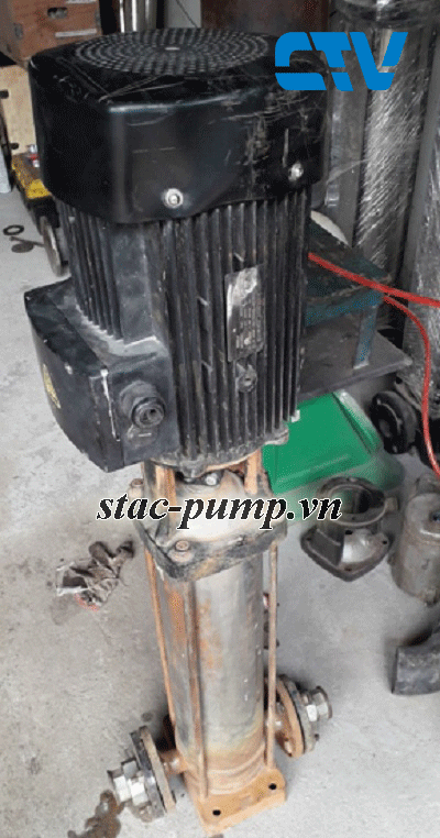 Sửa máy bơm trục đứng khi động cơ bị cháy